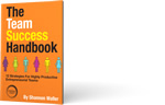 The Team Success Handbook product image.
